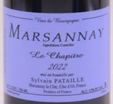 Sylvain Pataille
