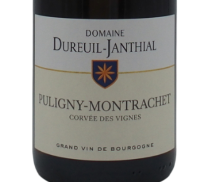 2026.03.12 탄포님 pick - Domaine Dureuil-Janthial Côte de Beaune Puligny-Montrachet Corvée des Vignes 2023