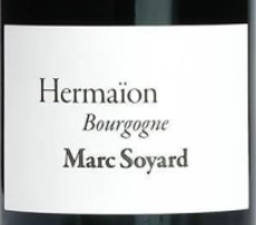 2026.08.24 탄포님 pick - Marc Soyard Bourgogne Hermaïon rouge 2023