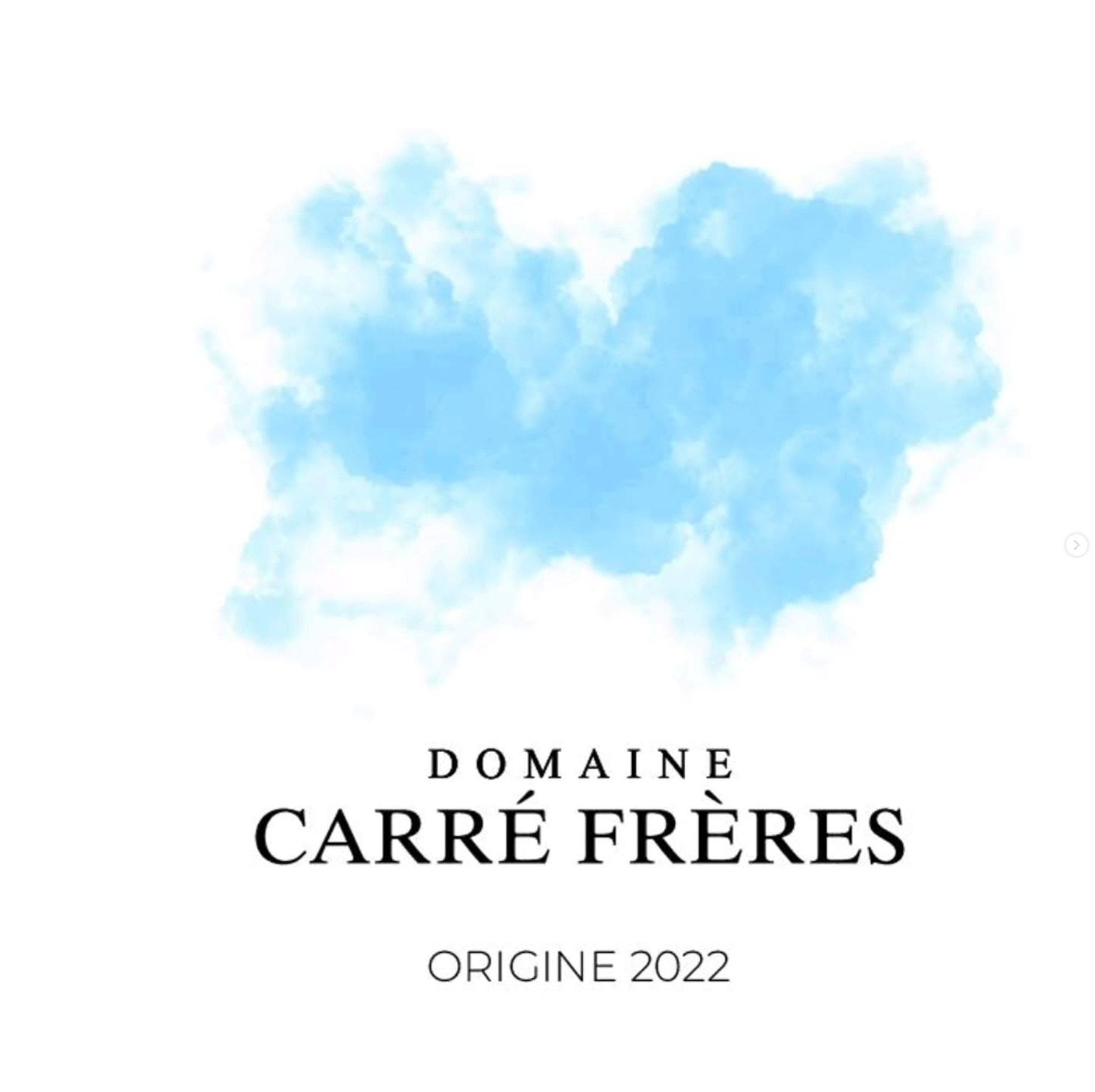2025.04.30 돔페리뇽님 pick (CARRÉ FRÈRES)