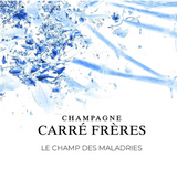 2025.04.30 돔페리뇽님 pick (CARRÉ FRÈRES)