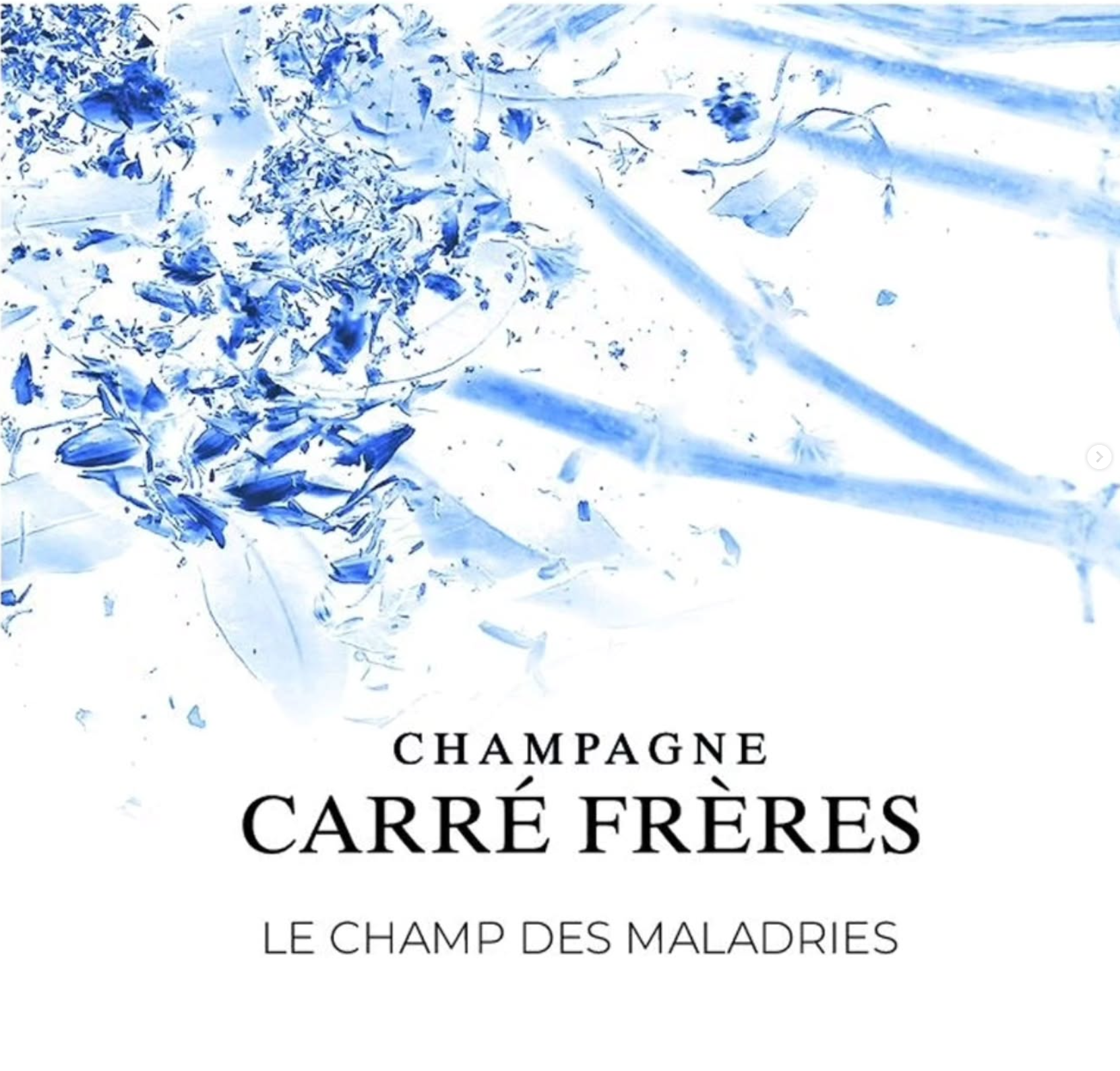 2025.04.30 돔페리뇽님 pick (CARRÉ FRÈRES)
