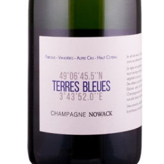 2025.01.31 Sauternesbarsac님 pick - Champagne brut nature Les Terres Bleues 2020