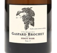 2025.04.03 타운와인 pick - BROCHET GASPARD Pinot Noir Tome V V21 (약 474500원)