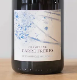 2025.10.03 돔페리뇽 pick - Champagne Carré Frères Le Champ des Maladries 2021