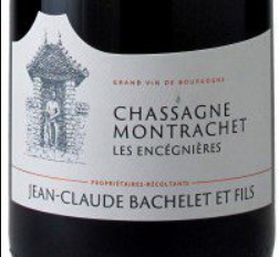 2025.10.24 탄포님 pick - Chassagne Montrachet Les Encégnières 2022