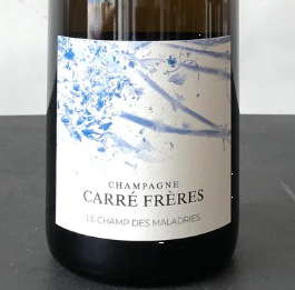 2025.11.24 돔페리뇽 pick - Carré Frères Le Champ des Maladries Champagne  2021
